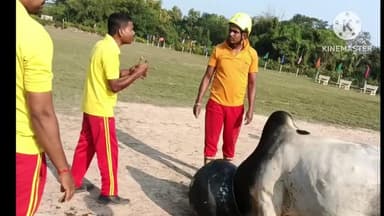 ସିମୁଳିଆ: ଚାନ୍ଦଗୋଛି ଗ୍ରାମ ରେ ହାଣ୍ଡି ଭିତରେ ପଶିଗଲା ଷଣ୍ଡ ର ମୁଣ୍ଡ ଦମକଳ ବାହିନୀ ଦ୍ୱାରା ଉଦ୍ଧାର