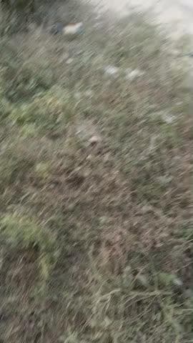 Param Uttar Pradesh road per accident hone se donon ki halat Gambhir Rama Kala hospital mein refer