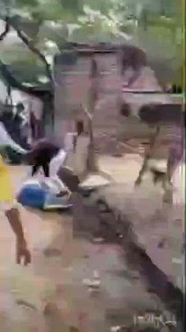 जसराना: गांव नगला मोती में जमीनी विवाद को लेकर दो पक्षों के बीच हुई जमकर मारपीट, घटना का वीडियो सोशल मीडिया पर वायरल