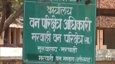 मरवाही: मरवाही वनमंडल में जांच में गंभीर अनियमितताएं पाए जाने के बाद मरवाही रेंजर रमेश खैरवार को पद से हटाया गया