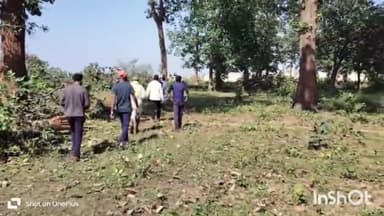 उदयपुर: PEKB कोल परियोजना के घाटबर्रा जंगल में बिना अनुमति सैकड़ों पेड़ों की कटाई, पूर्व आदिवासी आयोग अध्यक्ष ने कार्रवाई की मांग