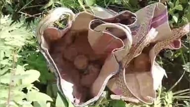 বেলডাঙা ১: বেলডাঙায় পৃথক দুটি জায়গায় বিপুল পরিমাণে তাজা সকেট বোমা উদ্ধারের ঘটনায় চাঞ্চল্য