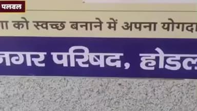 होडल: नेशनल हाईवे व स्टेट हाईवे पर घूमने वाले आवारा पशुओं पर लगेगी लगाम, होडल में टेंडर जारी