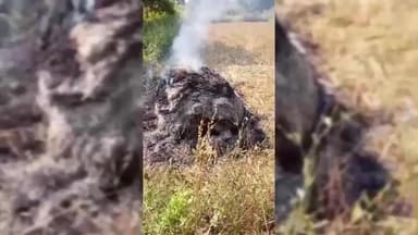 ଅମ୍ବାଭୋନା: ଗୌଡ଼ପାଲି ଗ୍ରାମର ଯୁଧିଷ୍ଠିର ମେହେର ଙ୍କ ଧାନଖରି ରେ କେହି ନିଆଁ ଲଗେଇ ଦେଇଥିବାରୁ ସବୁ ଧାନ ପୋଡ଼ିଯାଇଥିବାରୁ ଚାଷୀ ହତାଶ