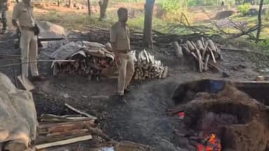 सरायकेला: सिनी के पदमपुर एवं धनोबांध महादेवीपुर में अवैध महुआ शराब अड्डे पर उत्पाद विभाग की छापेमारी, 50 लीटर शराब जब्त