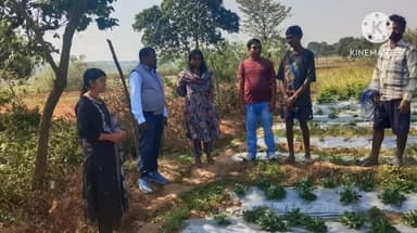 कर्रा: बीडीओ स्मिता नगेसिया ने किसानों के खेतों का किया भ्रमण