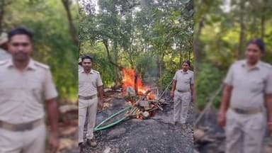 ଭଟଲି: ପଣ୍ଡକିପାଲି ଗ୍ରାମ ନିକଟରୁ ବିପୁଳ ପରିମାଣରେ ମହୁଲପୋଚ ଓ ଦେଶୀ ମଦ ଜବତ କଲା ଭଟଲି ଅବକାରୀ ବିଭାଗ