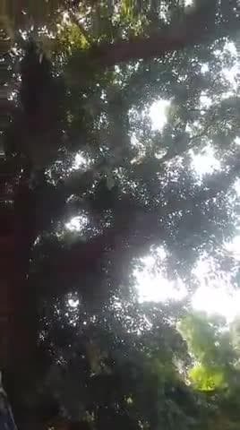 करनैलगंज: बनगांव में जमीन विवाद के चलते दो पक्षों में लाठी-डंडे चले, पुलिस ने छह लोगों पर की कार्रवाई