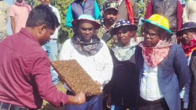 कैरो: मधुमक्खी पालन में ज़िला बन सकता है अग्रणी, समेकित कृषि व पशुपालन से जुड़ें: उपायुक्त डॉ. कुमार ताराचंद