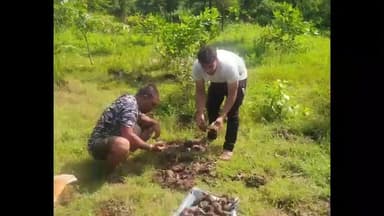 ଦିଗପହଣ୍ଡି: ଗଞ୍ଜାମ ଜିଲ୍ଲା ଦିଗପହଣ୍ଡି ର ବିଭିନ୍ନ ସ୍ତାନ ରେ ତାଳ ଗୋଟାମା ରୋପଣ କାର୍ଯ୍ୟକ୍ରମ ଅନୁଷ୍ଠିତ ହୋଇଯାଇଛି ।