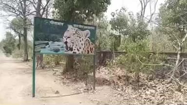 धरियावद: सीता माता वन्य जीव अभ्यारण रेंज जाखम की कार्यवाही, नागलिया वनखण्ड से हटाया गया अवैध अतिक्रमण