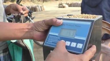 उदयपुर धरमजयगढ़: छाल के ग्राम हाटी में अवैध धान परिवहन पर लगातार कार्रवाई, 900 बोरा अवैध धान किया गया जब्त