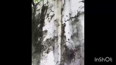 नवाबगंज: बाराबंकी में स्वच्छ भारत मिशन के अधूरे शौचालय, दूसरी किस्त न मिलने से ग्रामीण खुले में शौच करने को मजबूर