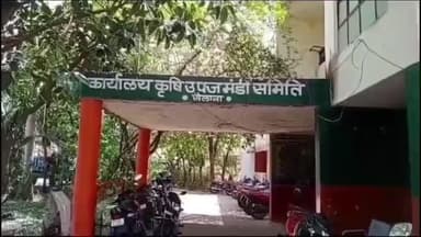 सैलाना: आज कृषि उपज मंडी में लहसुन ₹420 से ₹7601 प्रति क्विंटल बिका