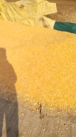 Gurunanak Tokri Model Multicrop In Makka