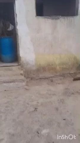 छबड़ा: छबड़ा में लक्ष्मी पूरा में आबकारी विभाग और पुलिस की संयुक्त कार्रवाई, 25 भट्ठियां और 9500 लीटर वाश नष्ट कर 4 अभियोग दर्ज