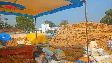 किरनापुर: 1 दिसंबर से 20 जनवरी 2026 तक समर्थन मूल्य पर होगी धान की खरीदी, किरनापुर तहसील में 9 केंद्र बनाए गए