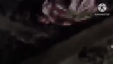 तालझारी: महाराजपुर रेलवे स्टेशन पर गया-हावड़ा एक्सप्रेस की चपेट में आने से मुर्शिदाबाद के युवक की मौत