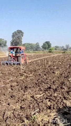 छीपाबड़ोद: छीपाबड़ौद में मौसम साफ होते ही खेतों में लौटी रौनक, किसानों में खुशी की झलक