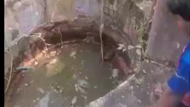 കൊടുങ്ങല്ലൂർ: കൊടുങ്ങല്ലൂർ തിരുവള്ളൂരിൽ കിണറ്റിൽ വീണ കുറുനരിയെ വനം വകുപ്പ് ഉദ്യോഗസ്ഥർ രക്ഷിച്ച് കാട്ടിൽ വിട്ടയച്ചു