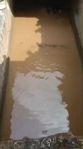 ଜୟପୁର: ବିସିଂପୁର ର ଏକ କେନାଲ ମଧ୍ୟରେ ଦୁଇ ଭାଲୁ ଛୁଆ ଉଦ୍ଧାର ଭିଡିଓ ଭାଇରାଲ