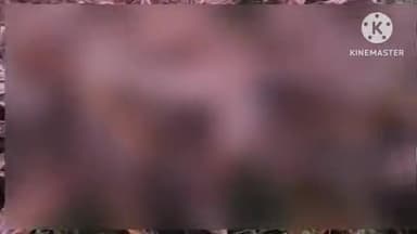 नरहरपुर: ग्राम किलेपार में एक अज्ञात व्यक्ति ने हत्या की वारदात को दिया अंजाम, हल्बा पुलिस जांच में जुटी