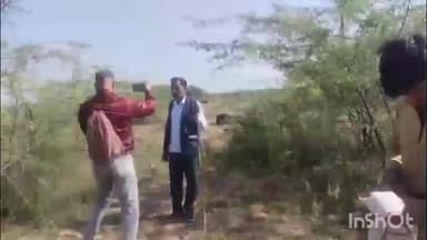 सबलगढ़: रामपुर घाटी जंगल में चरने गई भैंस पर गिरा बिजली का तार, भैंस की मौत