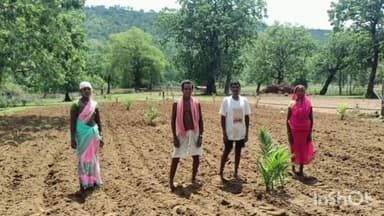 लोहंडीगुडा: बंदूक की गूंज से फलों और फूलों की महक तक का सफर, बस्तर में उद्यानिकी कृषि में आए चमत्कारिक बदलाव