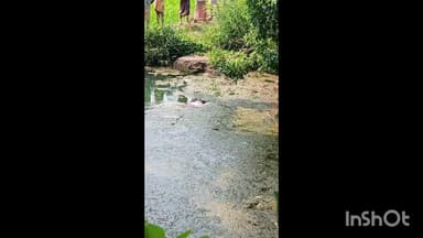 പട്ടാമ്പി: കപ്പൂർ മണ്ണാരപറമ്പിൽ വയോധികനെ കുളത്തിൽ മരിച്ച നിലയിൽ കണ്ടെത്തി