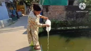 ঠাকুরপুকুর-মহেশতলা: মশাবাহিত রোগের হাত থেকে এলাকার মানুষদের রক্ষা করার জন্য মহেশতলা পৌরসভা ১৮ নম্বর ওয়ার্ডে নেওয়া হলো বিশেষ উদ্যোগ