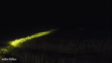 বিনপুর ১: পুনরায় হাতির প্রবেশ লালগড় রেঞ্জে, ঝিটকা এলাকায় দাপিয়ে বেড়াল হাতির দল