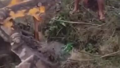 महरौनी: सिलावन में कीचड़ में फंसी भैंस को ग्रामीणों ने जेसीबी की मदद से बाहर निकाला