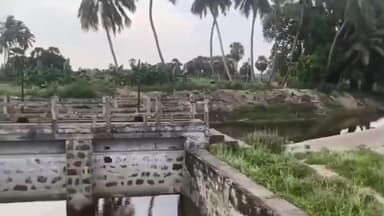 சாத்தான்குளம்: சடைனேரி வாய்க்காலை தூர்வார விவசாயிகள் மற்றும் பொதுமக்கள் வேண்டுகோள்