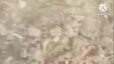 चंदेरी: महिला के साथ डंडों से मारपीट, सोशल मीडिया पर वीडियो वायरल