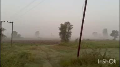 મોડાસા: મોડાસાના ઈસરોલ , જીવનપુર,ટીંટોઈ સહીત પંથકમાં ધુમ્મસ છવાયું