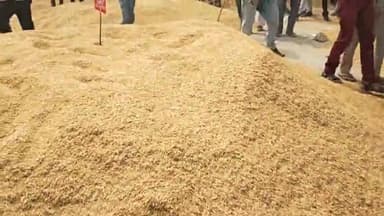 बारां की धान मंडी में देखो धान के भाव किस तरह गिरते जा रहे हैं।। ऐसे भाव में किसान का क्या होगा#@