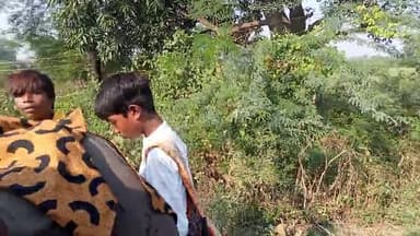 अमानगंज ऐसे लोगों से सावधान रहें इनका डेरा अमानगंज में है