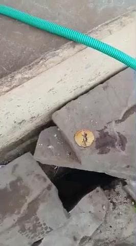 बिजौलिया खुर्द में एक टीचर ने की भारत माता व महाराणा प्रताप का अपमान#bijoliya #Hindu