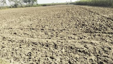 134 बीघा खेत बिकाऊ है जिस भाई को लेना है मुझसे संपर्क करें 8090291079