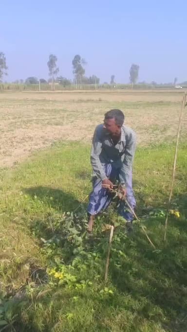 पीलीभीत: गोरा में लेखपाल पर रिश्वत मांगने और वृक्ष उखाड़वाने का आरोप, पीड़िता ने न्याय की गुहार लगाई