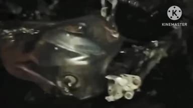 વટવા: અમદાવાદના વટવા વિસ્તારમાં રાજા પઠાણ નામના કુખ્યાત બુટલેગરનો આતંક