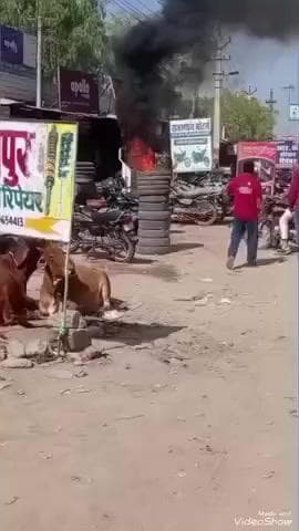मालपुरा: मालपुरा शहर के बस स्टैंड के बाहर PNB बैंक के सामने हाईवोल्टेज विद्युत लाइन का तार टूटकर गिरने से तीन बाइक व टायर जल गए