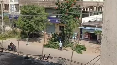 వేములవాడ: చెట్లను యదేచ్చగా నరికివేస్తున్న సెస్ అధికారులు