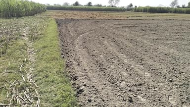 132 बीघा खेत बिकाऊ है जिस भाई को लेना मुझसे संपर्क करें 8090291079