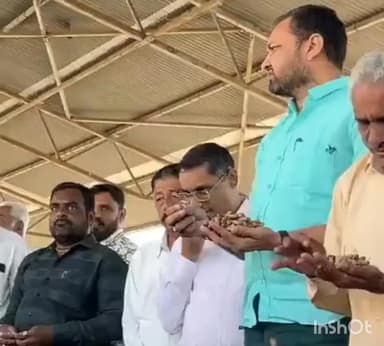 રાજુલા: ખેડૂત હિતનું ઉજળું પાનું — રાજુલા માર્કેટિંગ યાર્ડ ખાતે ગુજકોમાસોલની ટેકાના ભાવે ખરીદી શરૂ,સરકારની સંવેદનશીલ પહેલ