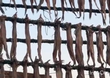 જાફરાબાદ: ખેડૂતોને રાહત, પણ સાગરખેડૂતો સાથે અન્યાય? — જાફરાબાદના માછીમારોમાં રાજ્ય સરકાર વિરુદ્ધ રોષની લહેર