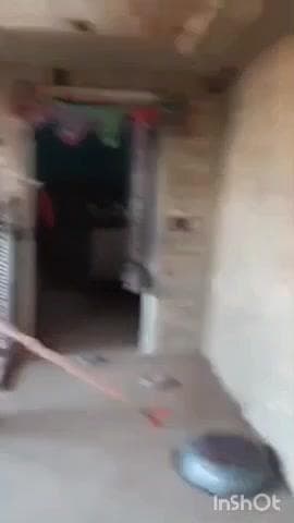 निघासन: चूरा टांडा गांव में घर में घुसा जहरीला सांप, वन विभाग की टीम ने 20 मिनट में कड़ी मशक्कत के बाद किया रेस्क्यू