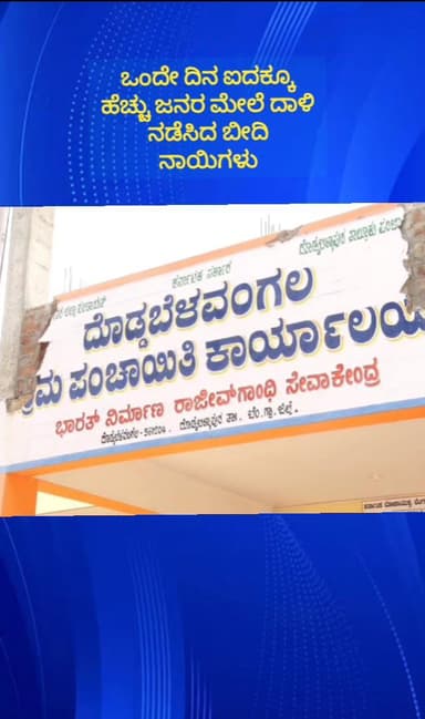ದೊಡ್ಡಬಳ್ಳಾಪುರ: ದೊಡ್ಡಬೆಳವಂಗಲದಲ್ಲಿ ಹೆಚ್ಚಿದ ಬೀದಿನಾಯಿಗಳ ಹಾವಳಿ,ಒಂದೇ ದಿನ ಐವರಿಗೆ ಕಚ್ಚಿದ ನಾಯಿಗಳು ಸಿಸಿಟಿವಿಯಲ್ಲಿ ದೃಶ್ಯ ಸೆರೆ