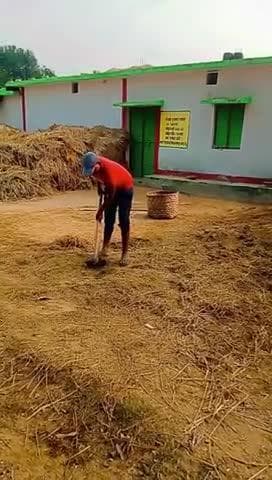 #खलिहान# साफ करते हुए#फोटो