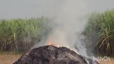 बुढ़नपुर: बुढ़नपुर तहसील क्षेत्र के नैपुरा गांव के किसान धड़ल्ले से जला रहे फसलों का अवशेष, जिलाधिकारी के आदेश की अवहेलना